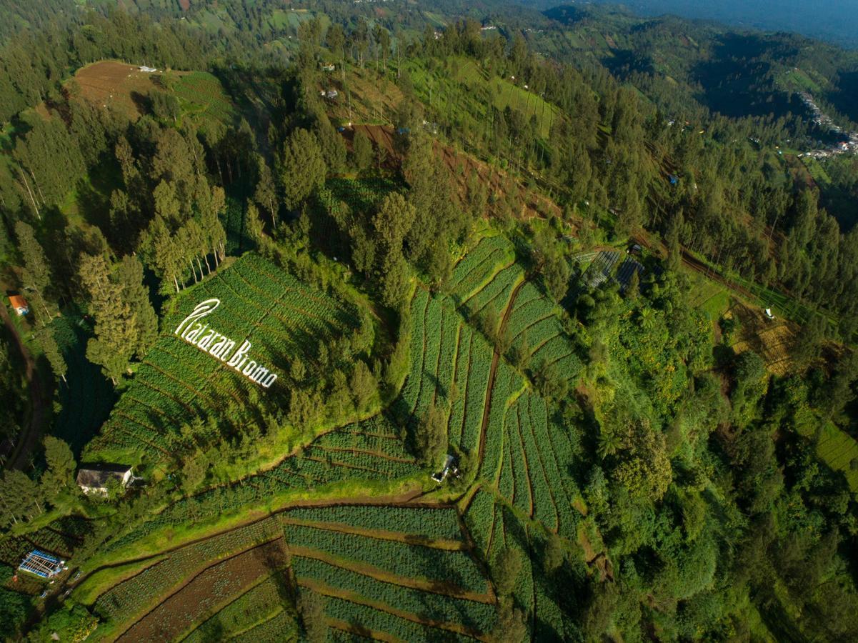 Отель Plataran Bromo Ngadiwano Экстерьер фото