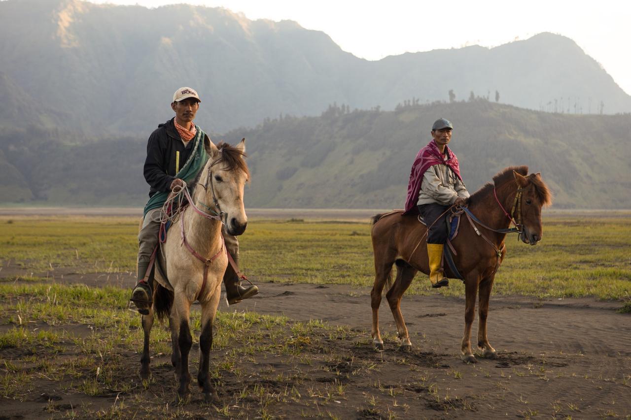 Отель Plataran Bromo Ngadiwano Экстерьер фото