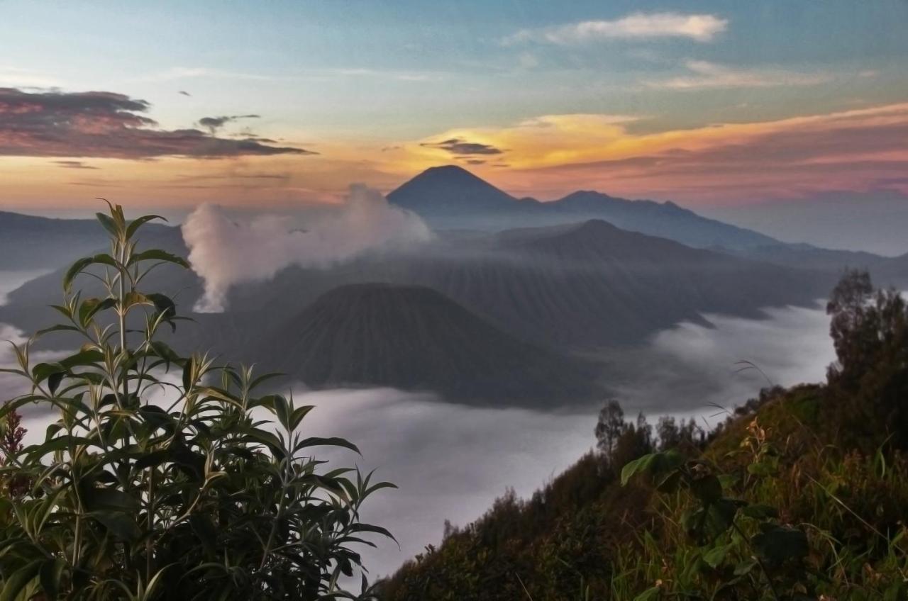 Отель Plataran Bromo Ngadiwano Экстерьер фото